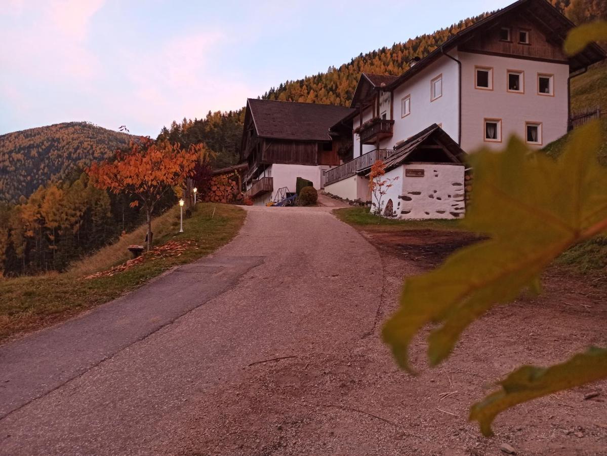 Natur Appartments Riesen サン・ロレンツォ・ディ・セバート エクステリア 写真