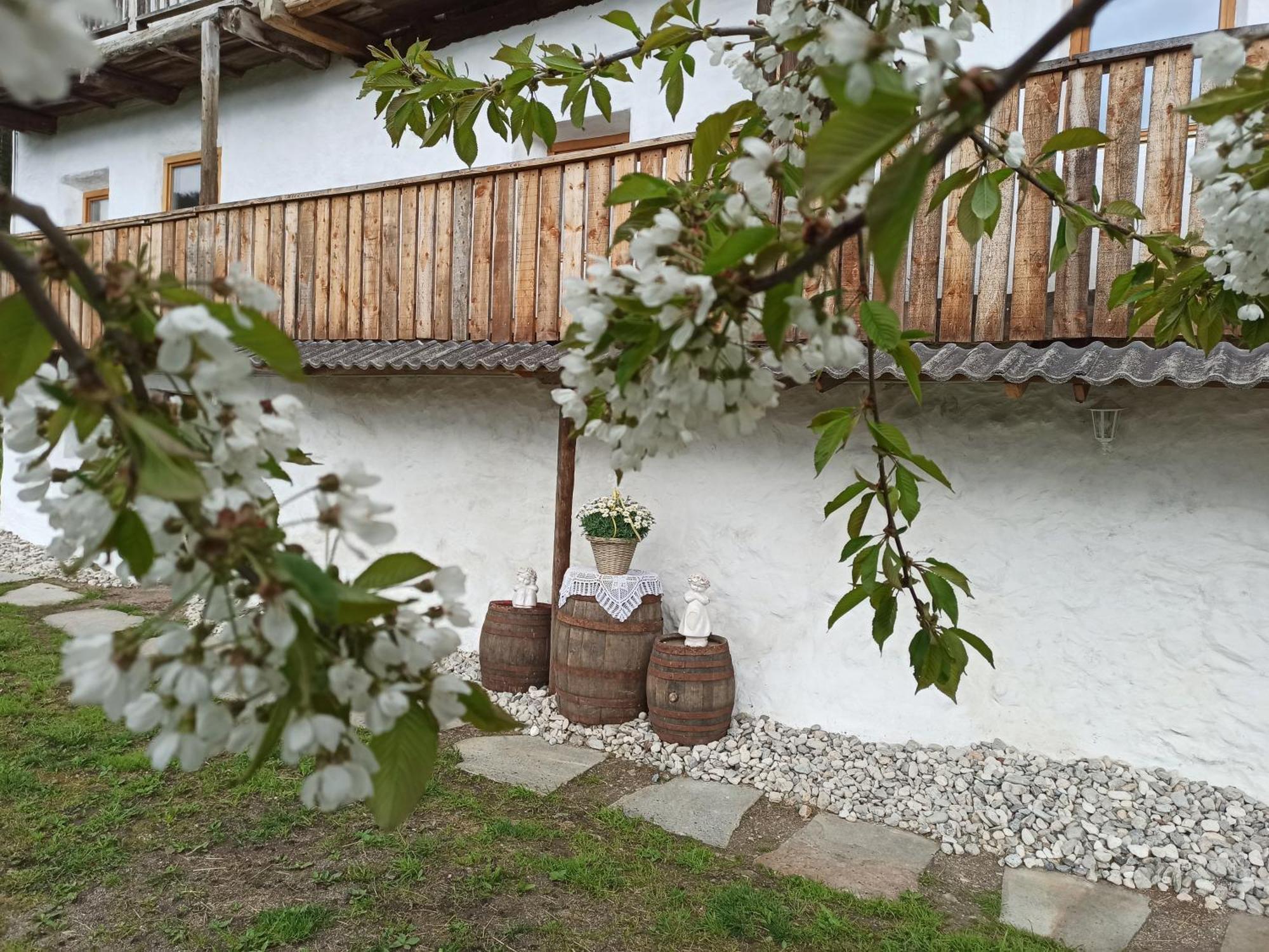 Natur Appartments Riesen サン・ロレンツォ・ディ・セバート エクステリア 写真